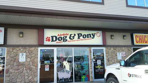 Airdrie Dog and Pony Airdrie Dog and Pony